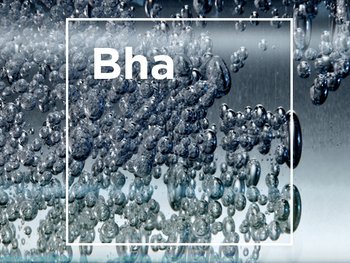 Acide Salicylique BHA