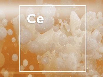 Ceramides