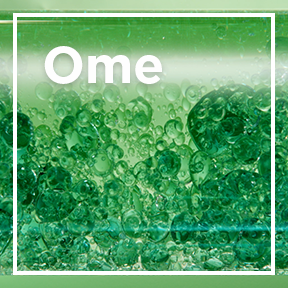 Oméga 6 / Beurre de Karité