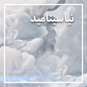 نياسيناميد
