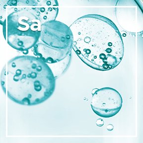 SA-molecule