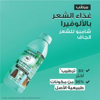 Aloe Vera Shampoo Benefits